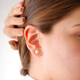 14k Gold Cockle Shell Stud Earrings - DionJewel