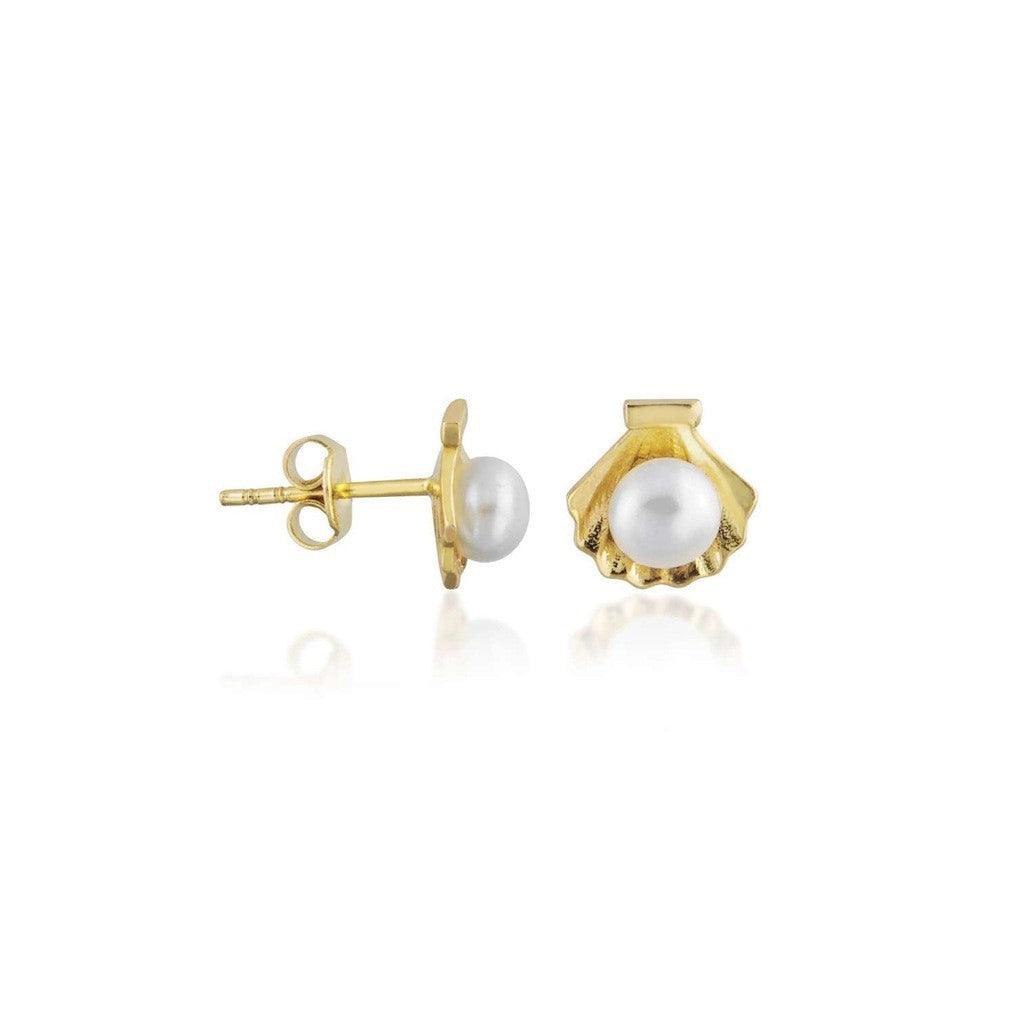 14k Gold Cockle Shell Stud Earrings - DionJewel